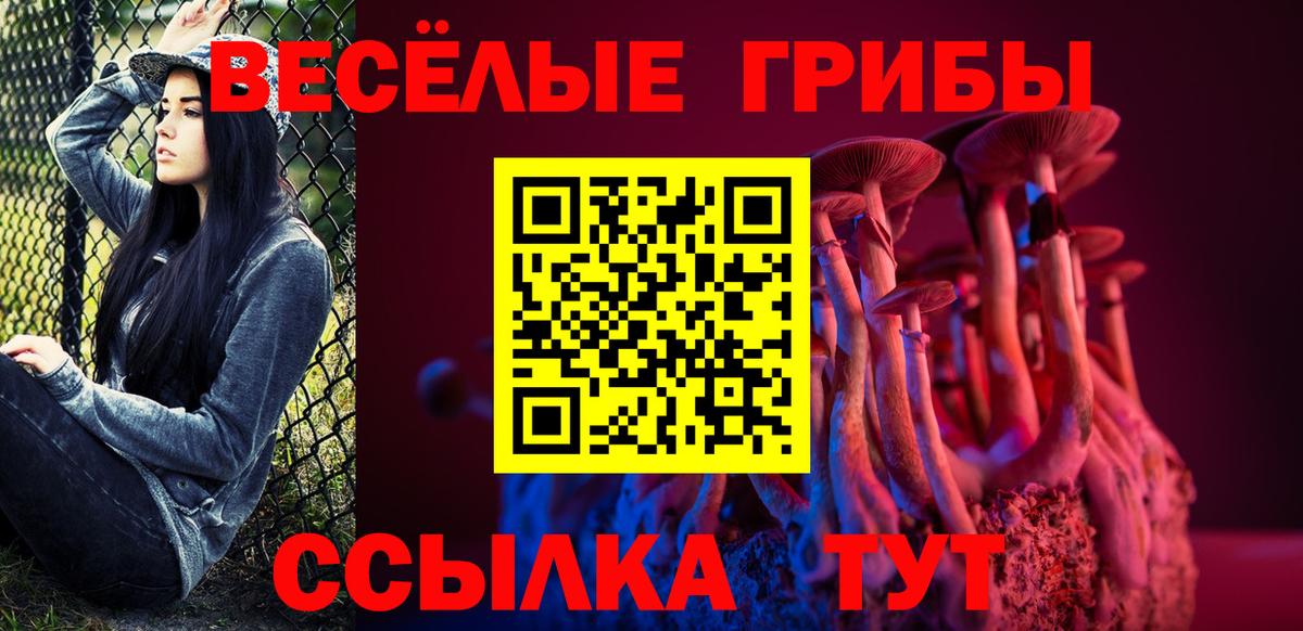 Псилоцибиновые грибы ЛСД Благовещенск