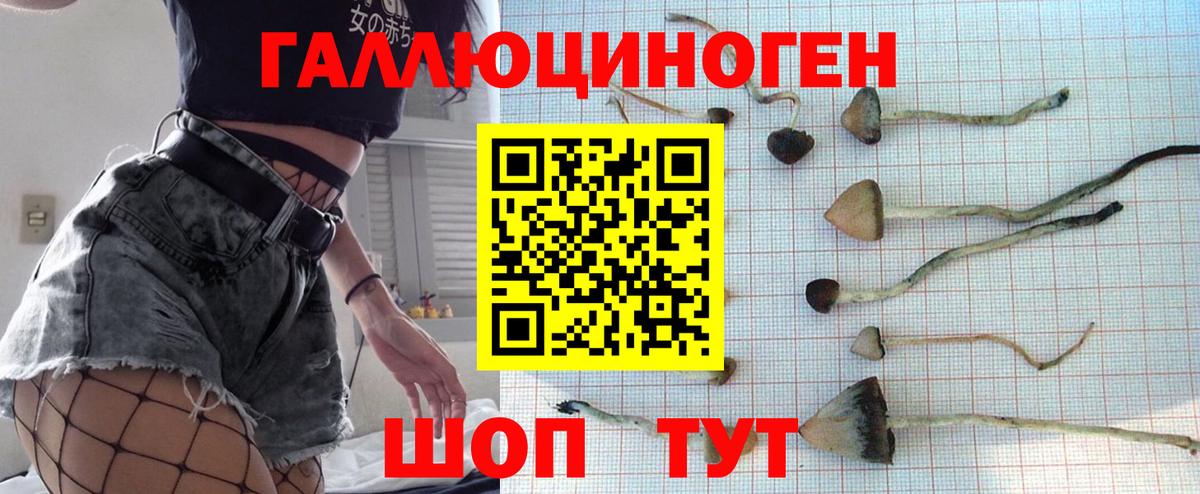 где можно купить наркотик  Вход с VPN  Псилоцибиновые грибы мухоморы  Благовещенск  Псилоцибиновые грибы прущие грибы 